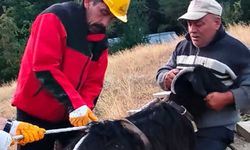 Çukurda mahsur kalan keçiyi itfaiye ekipleri kurtardı