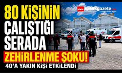 80 Kişinin Çalıştığı Serada Zehirlenme Şoku! 40'a Yakın Kişi Etkilendi