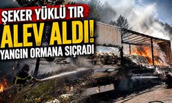 Şeker yüklü tır alev aldı, yangın ormana sıçradı