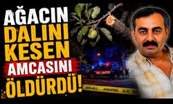 Ağacın dalını kestiği için amcasını öldürdü