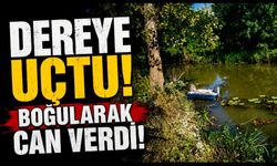 Otomobil dereye uçtu: Sürücü hayatını kaybetti