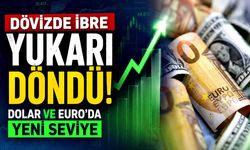 Dövizde ibre yukarı döndü: Dolar ve Euro'da yeni seviye