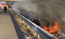 Otoyolda korkutan yangın: Yol kenarına atılan izmarit yangın çıkarttı