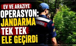 Ev ve araziye operasyon: Jandarma tek tek ele geçirdi
