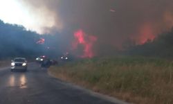 Ezine'deki orman yangınına müdahale sürüyor