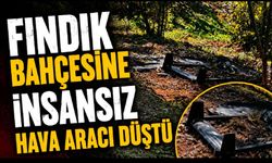 Düzce’de fındık bahçesine şüpheli bir cisim düştü