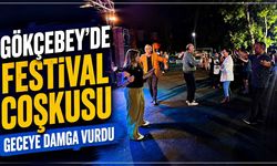 Gökçebey’de festival coşkusu geceye damga vurdu