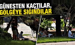 Güneşten kaçtılar, gölgeye sığındılar