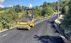 Heyelan bölgesindeki yol yenilendi