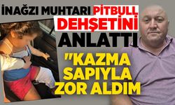 İnağzı muhtarı pitbull dehşetini anlattı: "Kazma sapıyla zor aldım