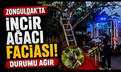 İncir Ağacını Budarken Düştü, Durumu Ağır