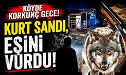 Ağıla kurt girdiğini zannederek ateş eden şahıs, eşini öldürdü