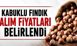 Kabuklu fındık alım fiyatları belirlendi