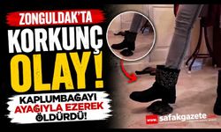 Kaplumbağayı ayağıyla ezen şüpheli gözaltına alındı