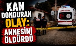 Kan Donduran Olay: Annesini Öldürdü