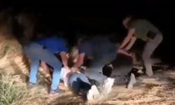 Kar maskeleriyle araç soyan 5 şüpheli yakalandı