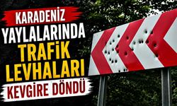 Karadeniz yaylalarında trafik levhaları kevgire döndü