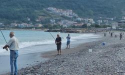 Karadeniz'de balık bolluğu yaşanıyor: Oltasını kapan deniz kenarına koştu