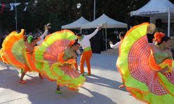 "36. Uluslararası Taşköprü Kültür ve Sarımsak Festivali" başladı
