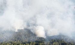 Kastamonu’da çıkan orman yangını kontrol altına alındı