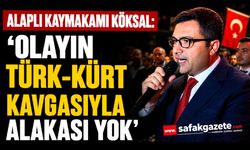 Alaplı Kaymakamı Köksal: 'Olayın Türk-Kürt kavgasıyla alakası yok'