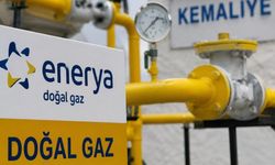 Kemaliye’nin doğal gaz lisans kapsamına alınması onaylandı