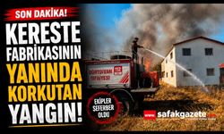 Bolu’da kereste fabrikasının yanında korkutan yangın