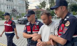 Kesilen ayva dalı tartışmasında amcasını öldüren gurbetçi: Kendimi korudum