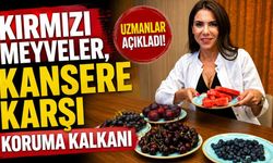 Kırmızı meyveler, kansere karşı koruma kalkanı