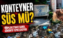 Konteyner süs mü?