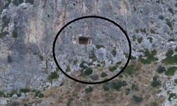 Mağarada mahsur kalan şahıs kurtarıldı