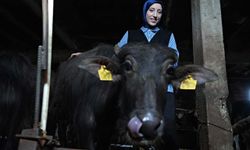 ‘Mandalı Kız' köyün simgesi oldu