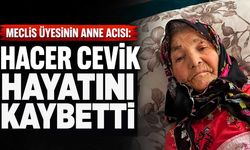 Meclis üyesinin anne acısı: Hacer Çevik hayatını kaybetti