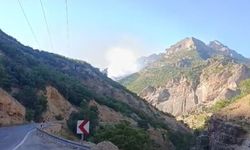 Munzur Vadisi Milli Parkı'nda örtü altı yangınına müdahale sürüyor