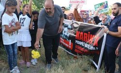 Narin Güran mezarı başında anıldı