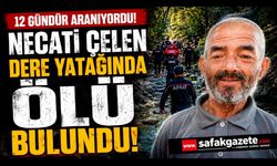 Evinden çıktı, bir daha dönmedi: 12 gün sonra bulundu