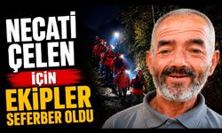 Kaybolan Alzheimer hastası için ekipler seferber oldu