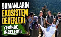 Ormanların ekosistem değerleri yerinde incelendi