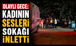 Olaylı gece: Sinir krizi geçiren kadının bağırış sesleri sokağı inletti