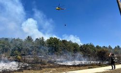 Orman yangını! Helikopterle müdahale ediliyor