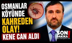 Karabük'te kene 7 yıl sonra can aldı