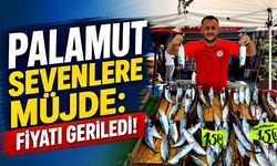 Palamut sevenlere müjde: Fiyatı geriledi!