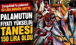 Palamutun fiyatı yükseldi: Tanesi 150 lira oldu