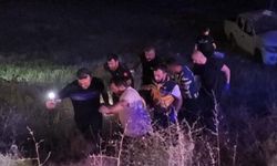 Pikap tarlaya uçtu: 2 yaralı