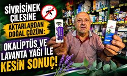 Sivrisinek çilesine aktarlardan doğal çözüm: Okaliptüs ve Lavanta Yağı ile kesin sonuç!