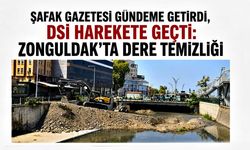 Şafak Gazetesi gündeme getirdi, DSİ harekete geçti: Zonguldak'ta dere temizliği