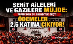 Şehit Aileleri Ve Gaziler İçin Yeni Dönem: Aylıklar Ve Ödemeler Artıyor