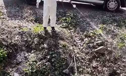 Sinekler Nefes Aldırmıyor, Vatandaş Çileden Çıktı!