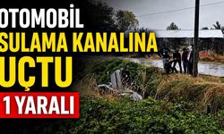 Otomobil sulama kanalına uçtu: 1 yaralı