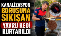 Kanalizasyon borusuna sıkışan yavru kedi kurtarıldı